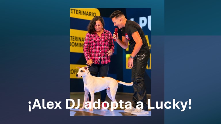¡Alex DJ adopta a Lucky!